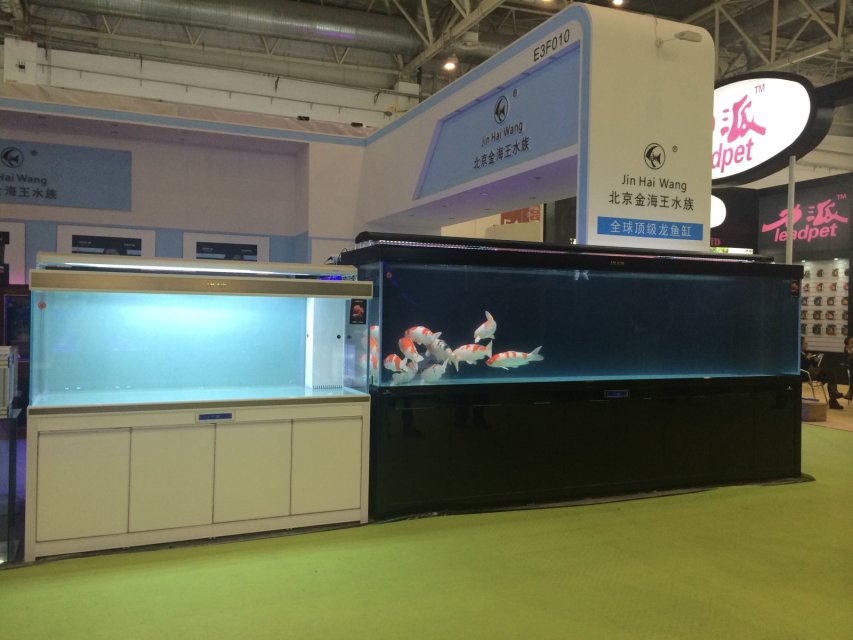 2011年广州国际水族宠物展-北京金海王水族箱展区现场直播