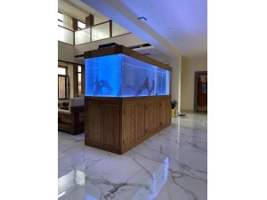 金海王实景案例图-实木龙缸3米